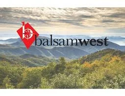 Balsam West Fibre Net