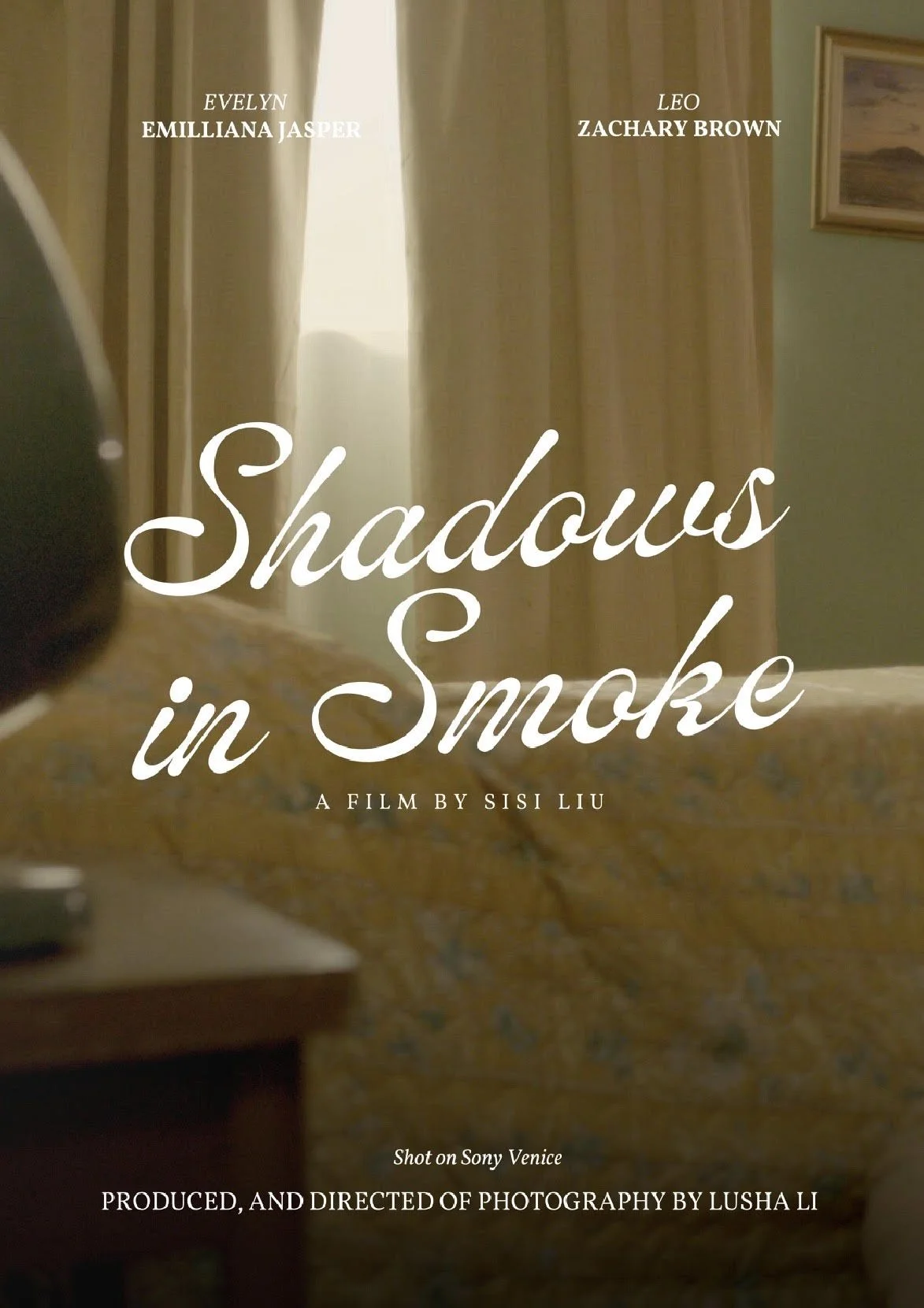 Shadows in Smoke Poster.jpg