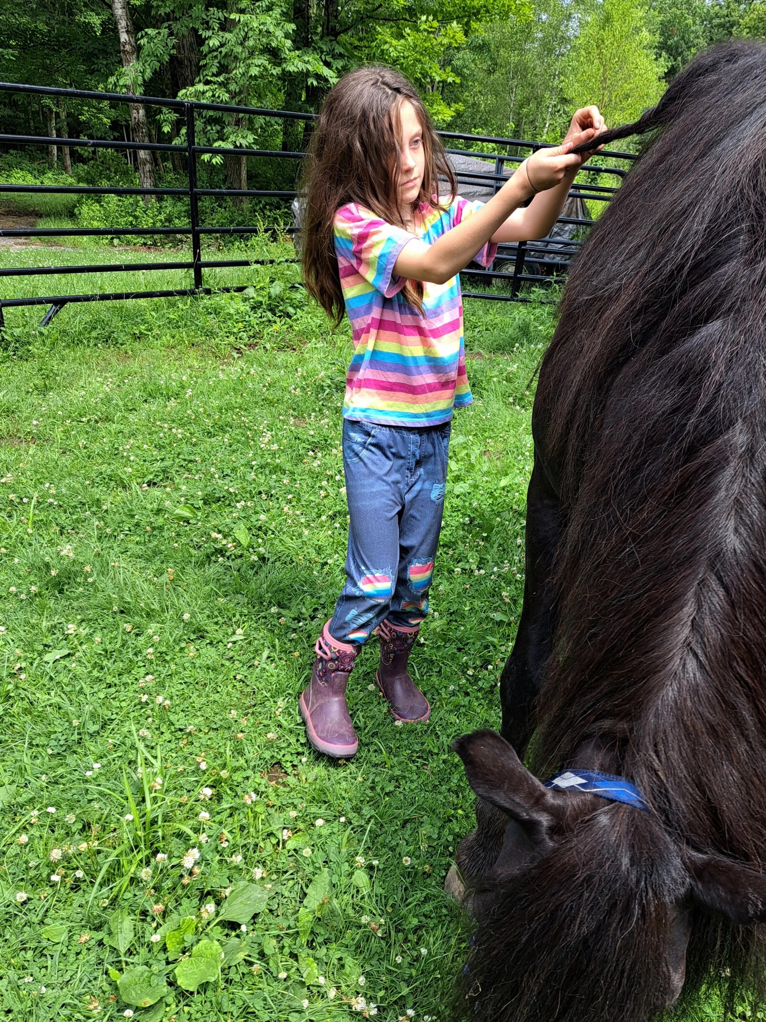 A young girl with long brown hair, wearing a rainbow-striped shirt, blue pants with rainbow patches, and purple boots, is grooming a large black horse in a grassy, fenced outdoor area surrounded by trees.