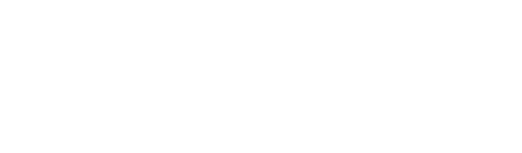 A-MAX Security Solutions, Inc.