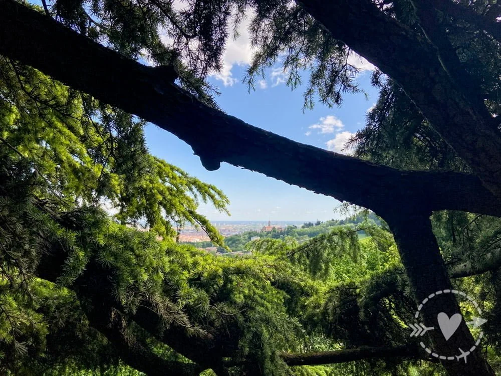 Purificazione di Primavera: passeggiata silenziosa &amp; yoga all’Eremo di Ronzano