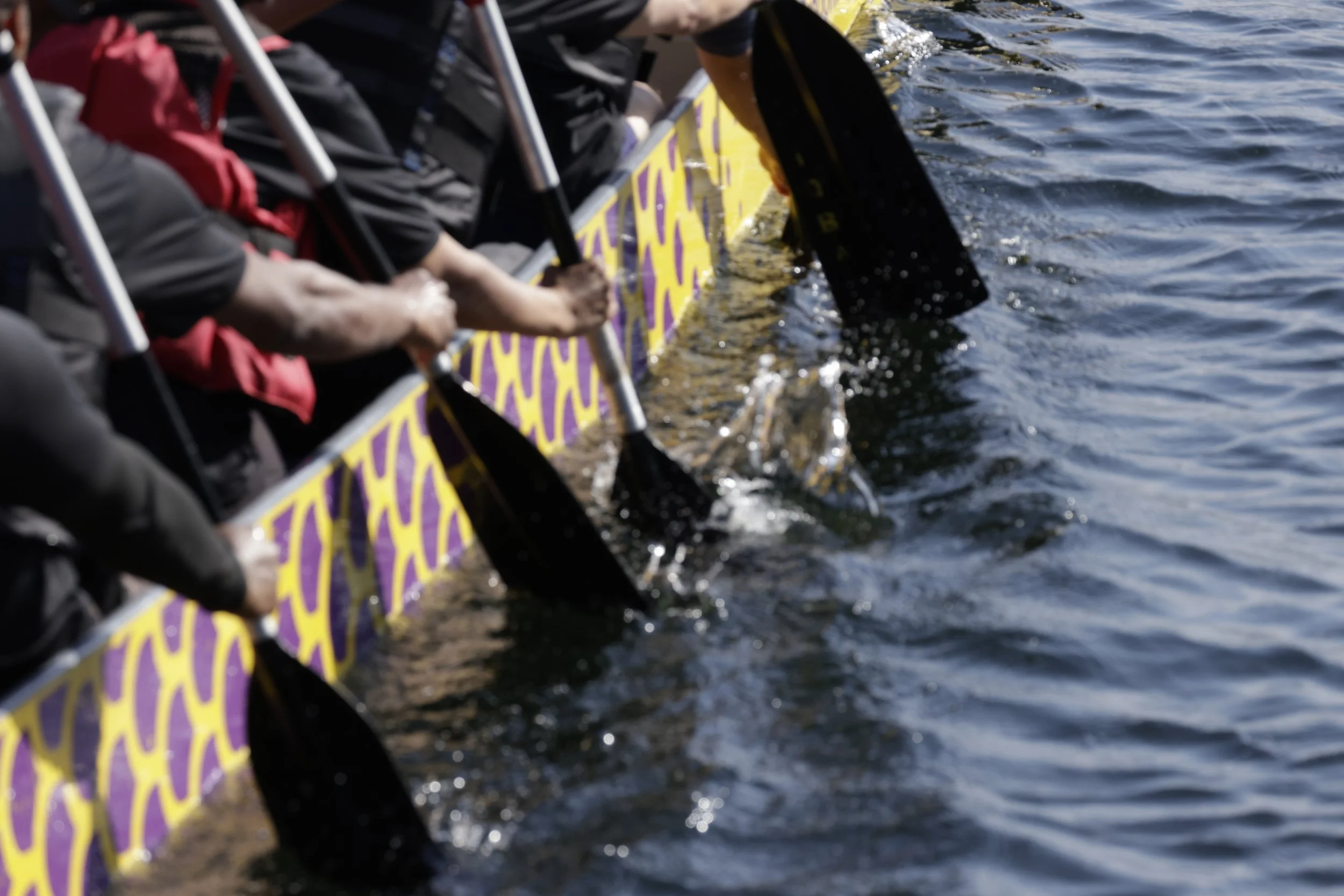 Photo by Stephan McGehee