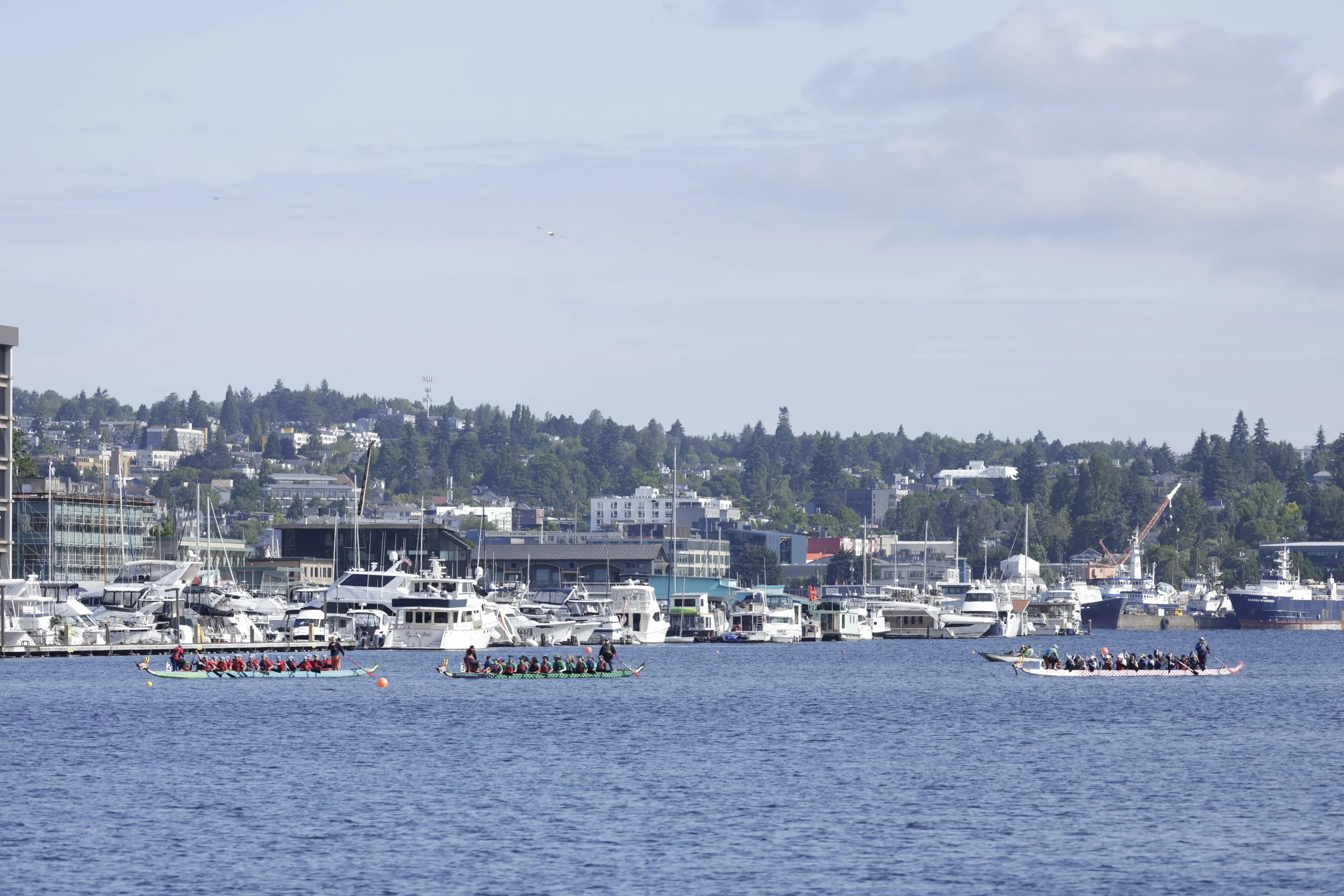 Photo by Stephan McGehee