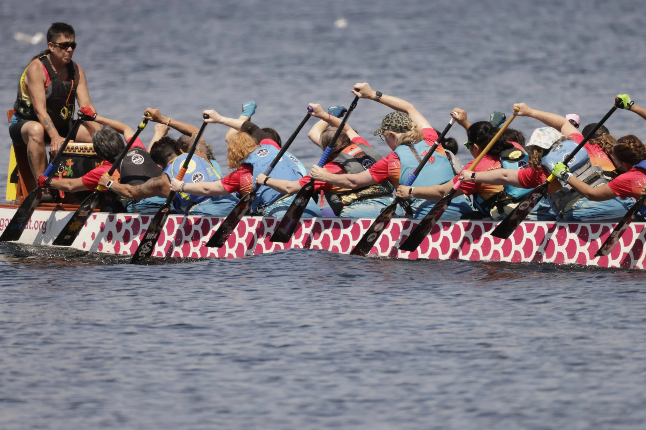 Photo by Stephan McGehee