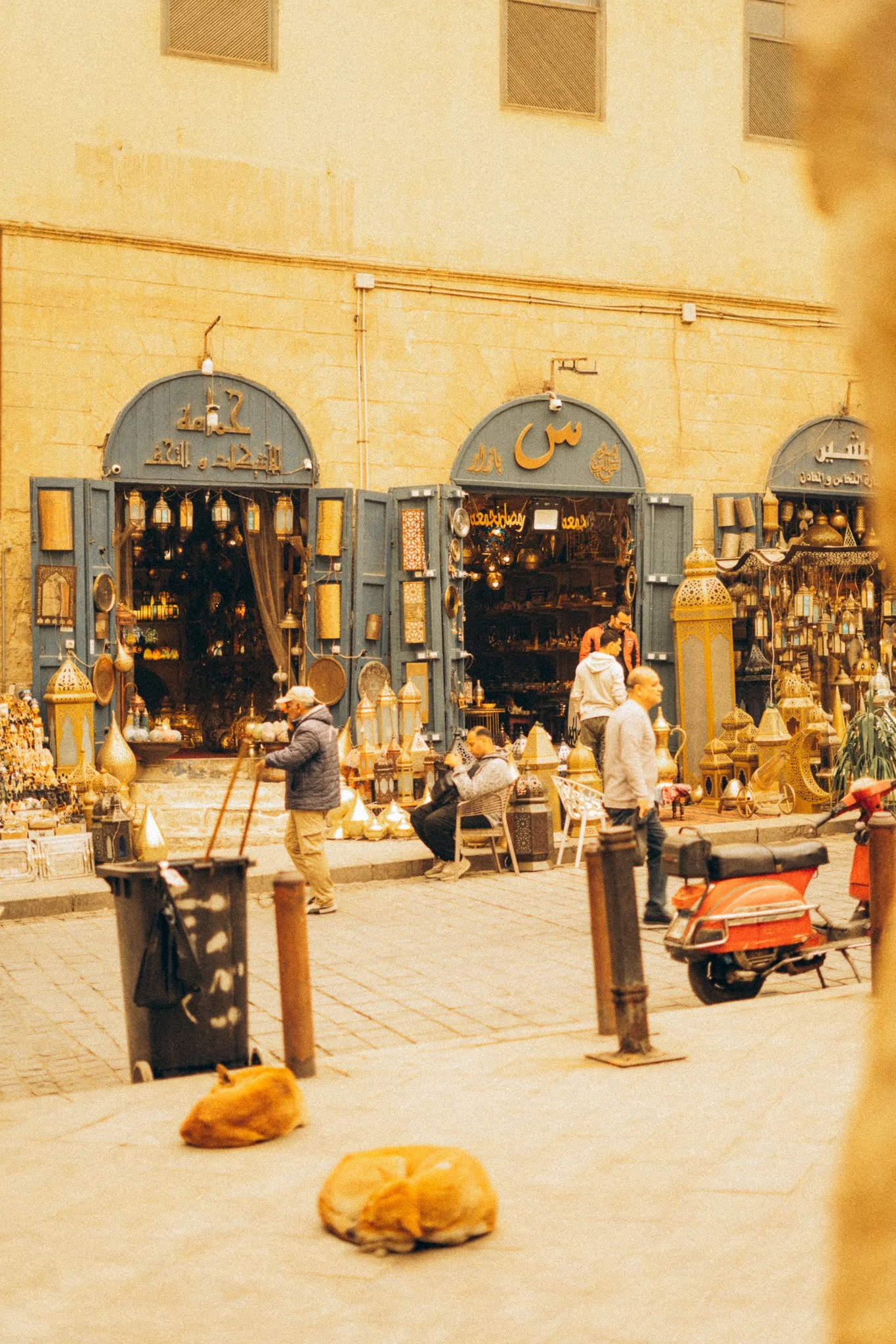 DSC01201.jpg