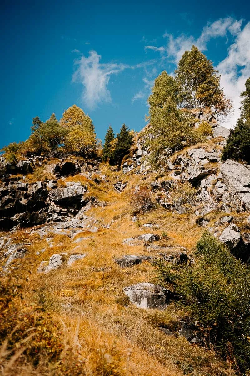 IVK03635.jpg