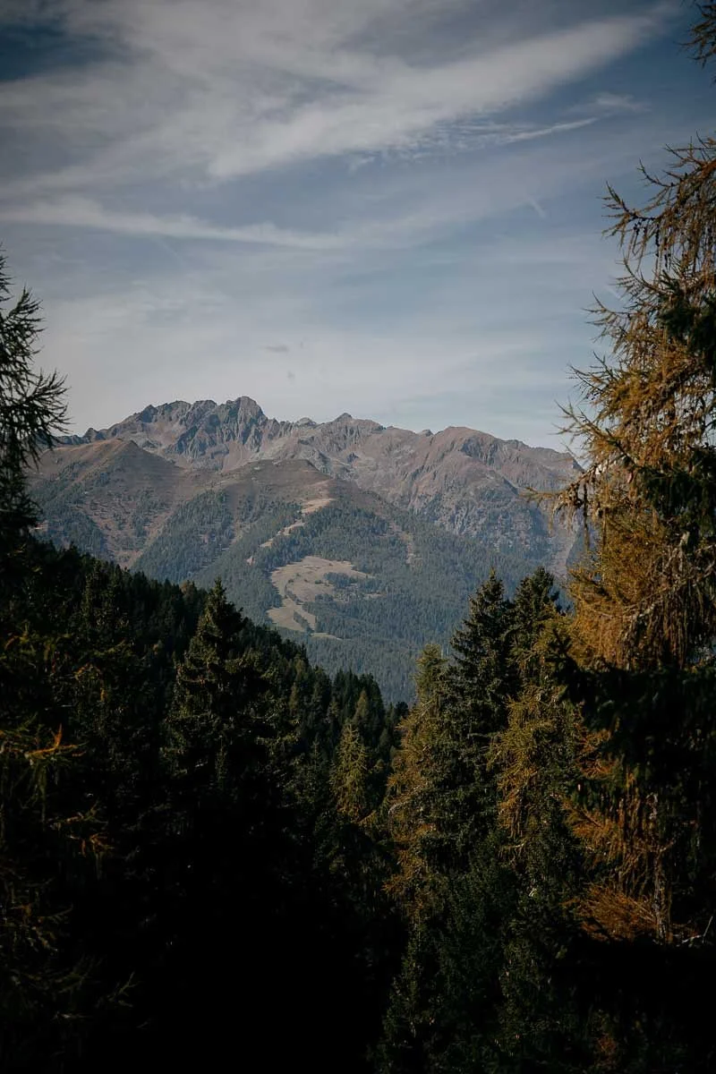 IVK03759.jpg
