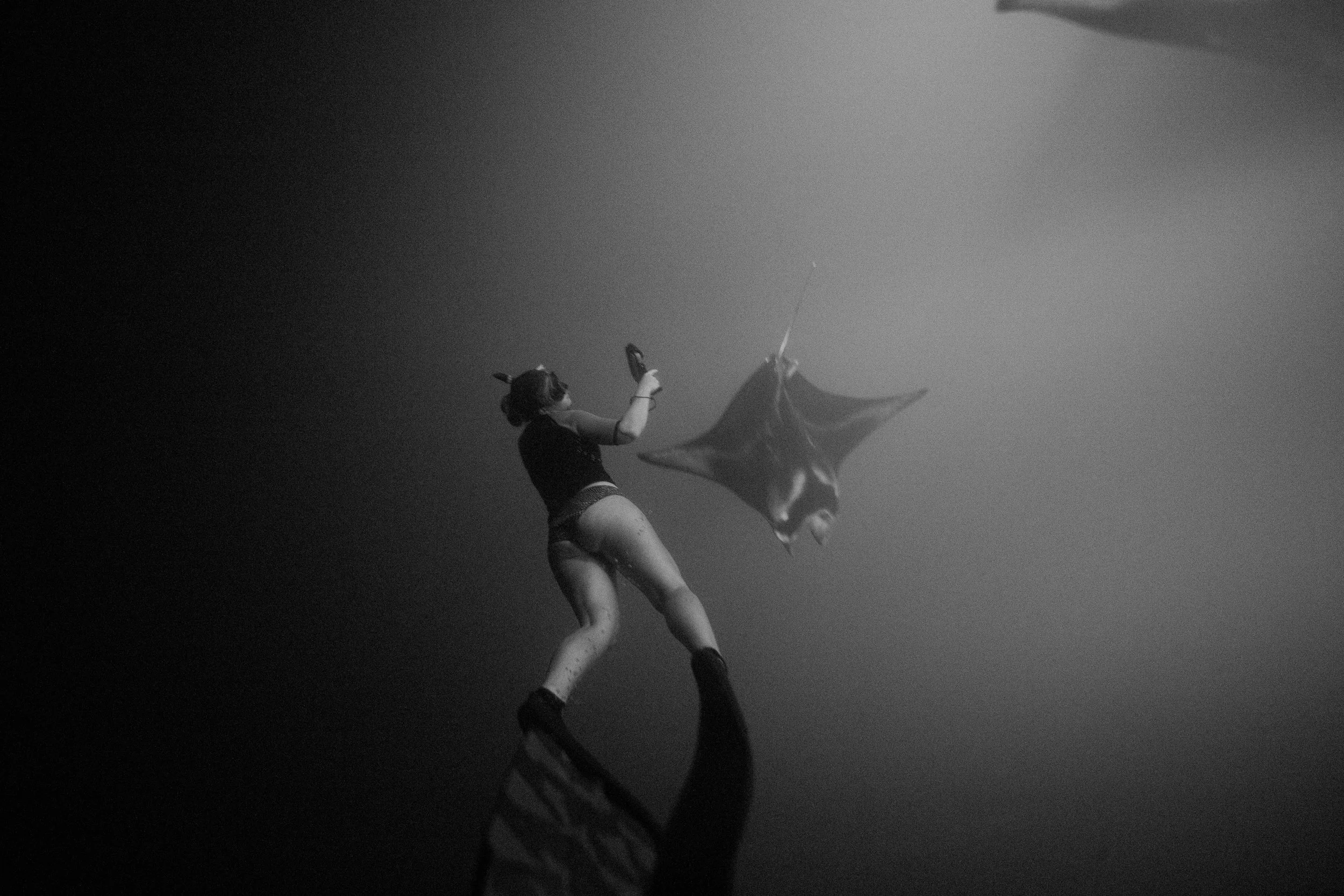 BOTE_Hawaii_MantaRay_012233043.jpg