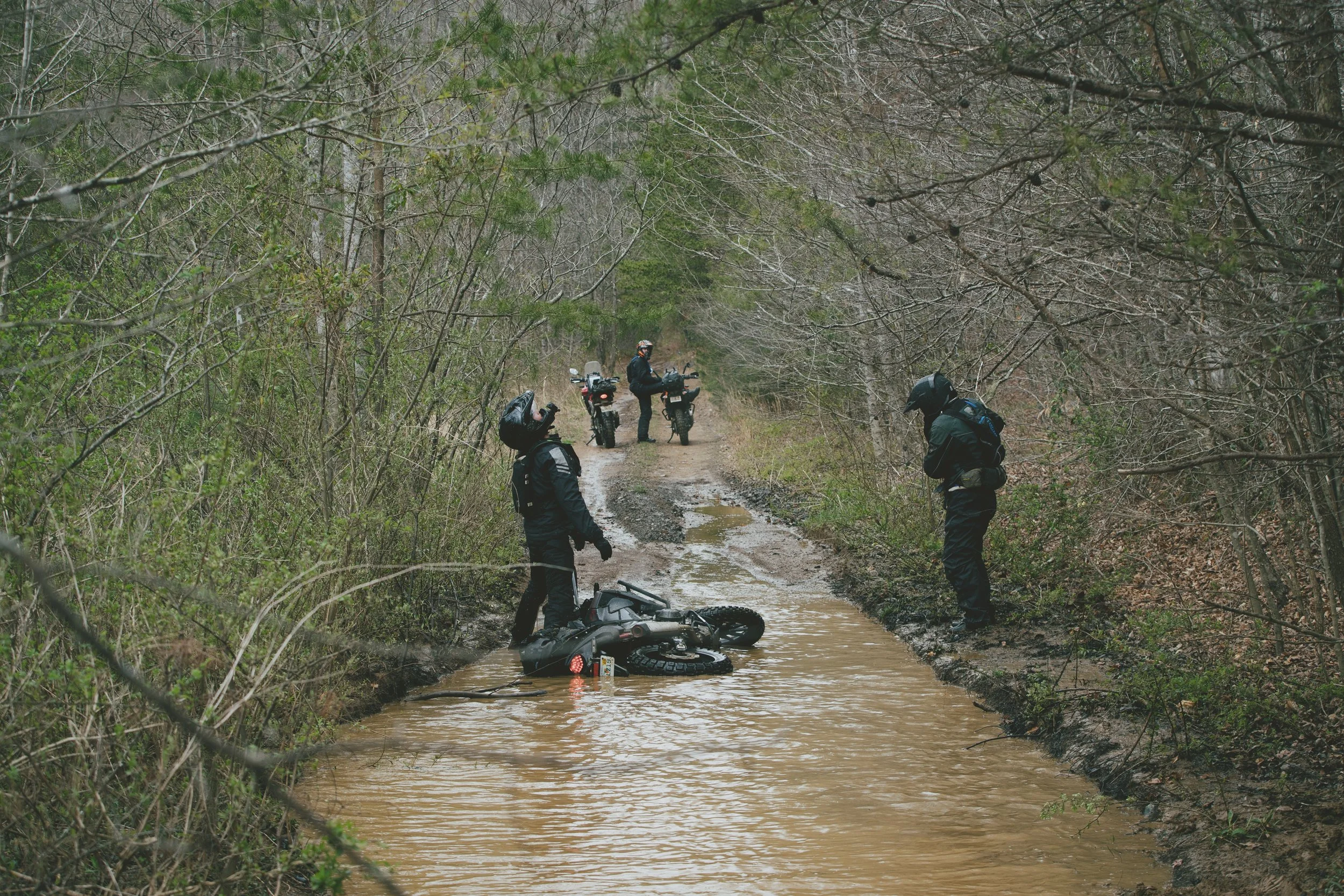BOTE_Moto_D1_042244971.jpg