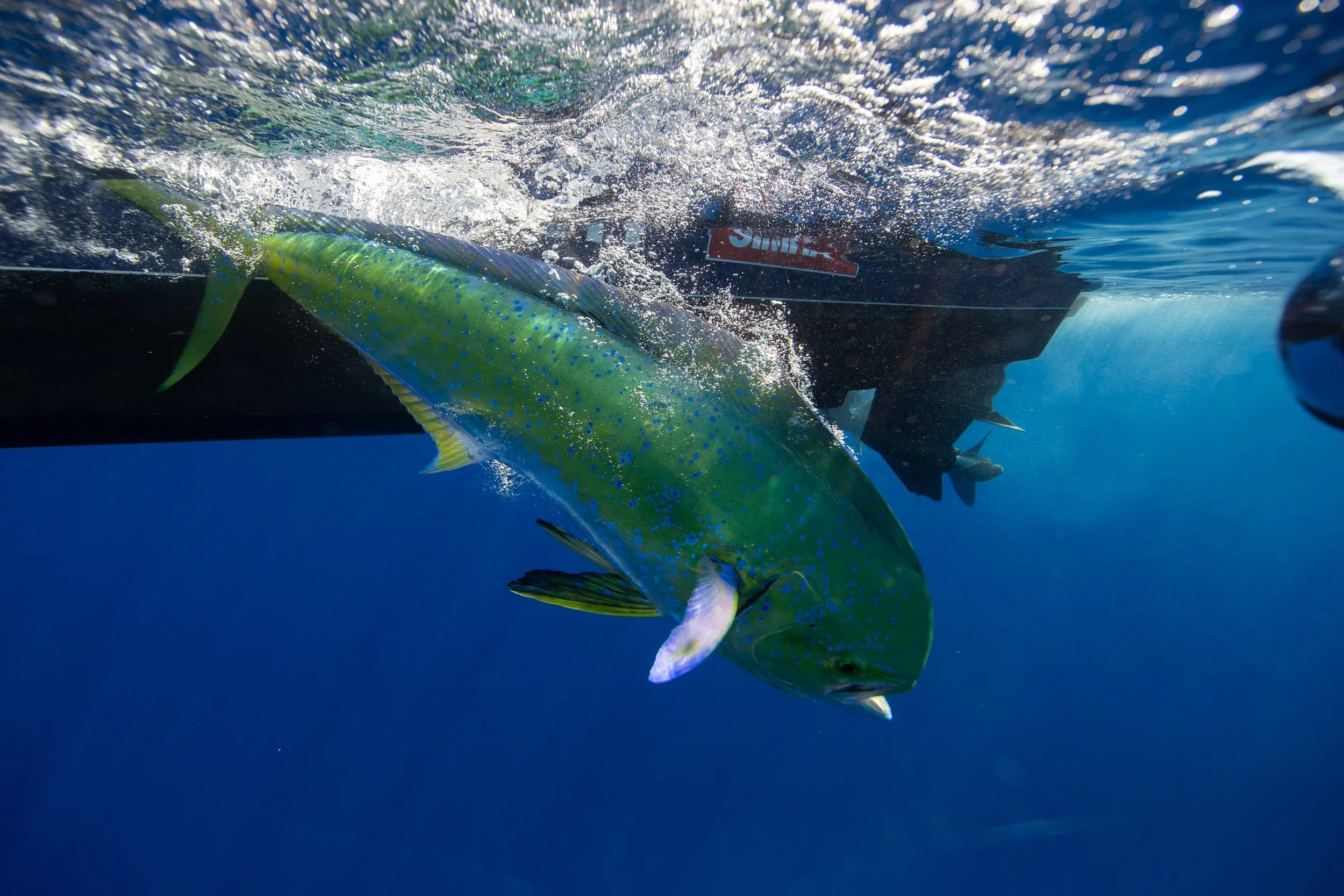 BOTE_Blackflylodge_052275773.jpg