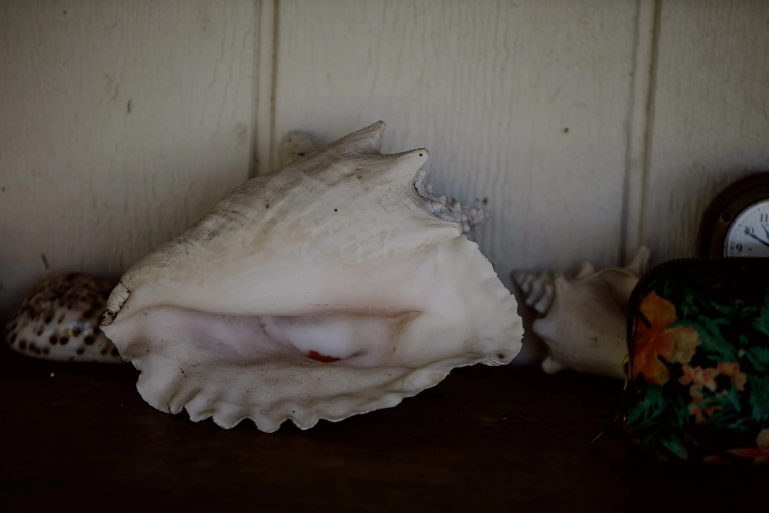 BOTE_Hawaii_Lalani_012237166.jpg