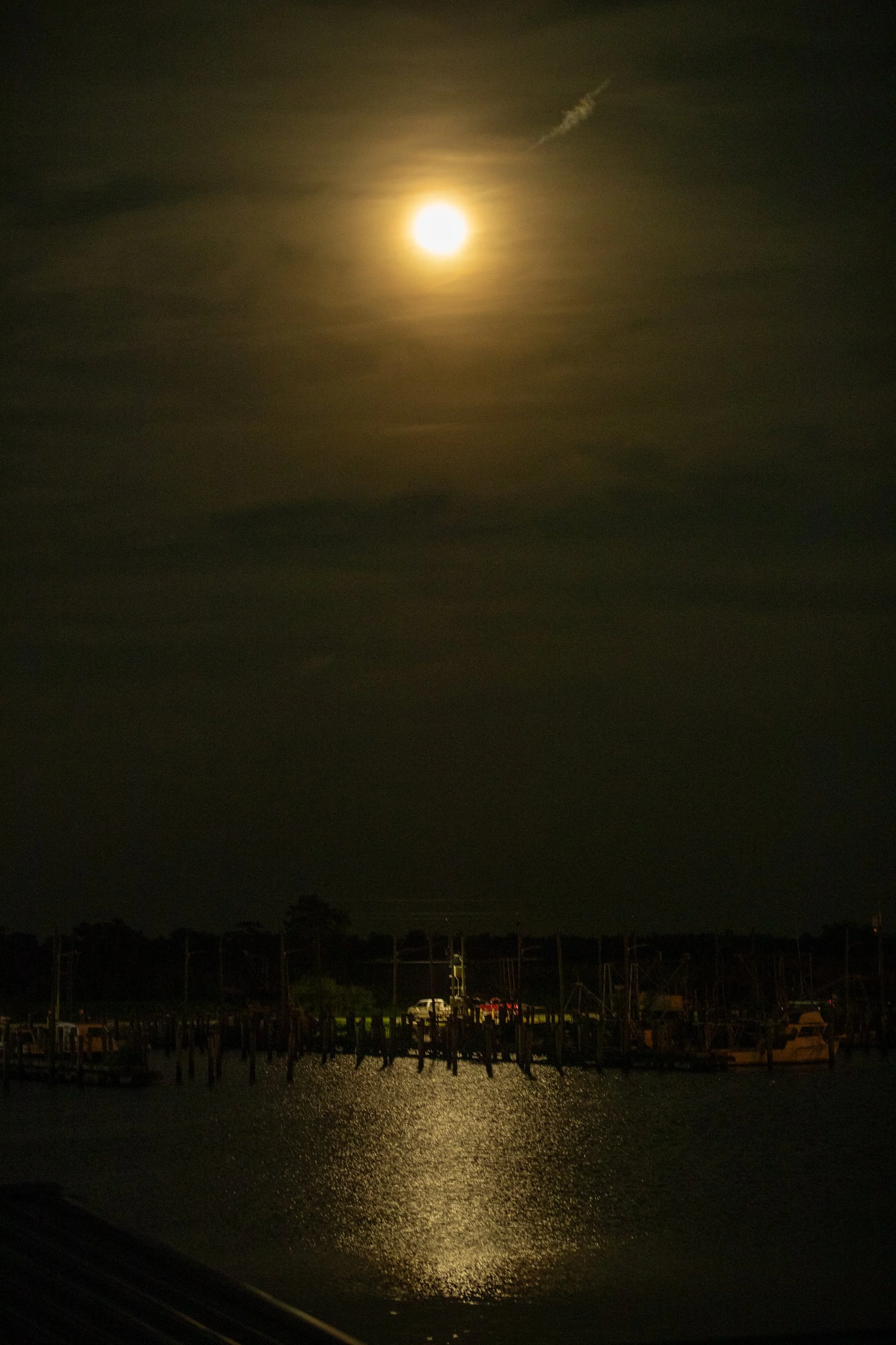 BOTE_Venice_Murphy_D1_0824246598.jpg