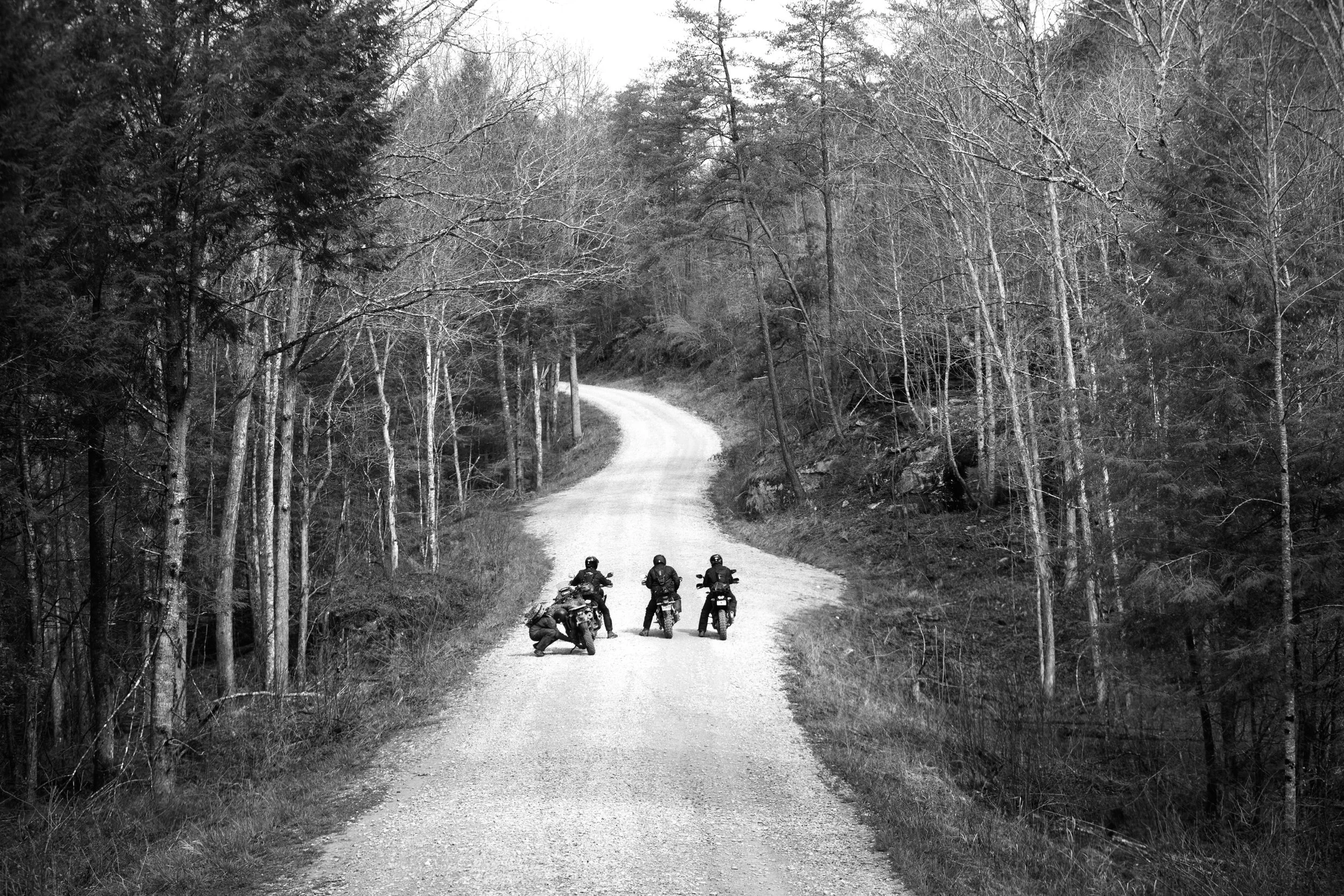 BOTE_Moto_D2_042247571.jpg