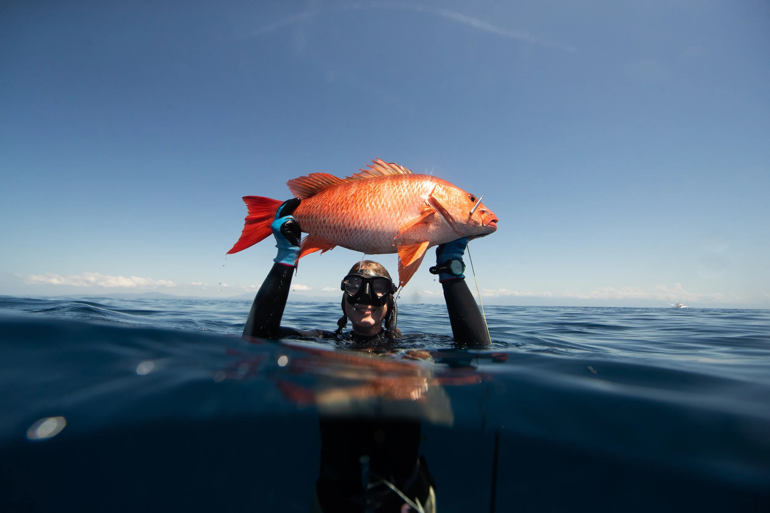 BOTE_CR_skye_D12116872.jpg