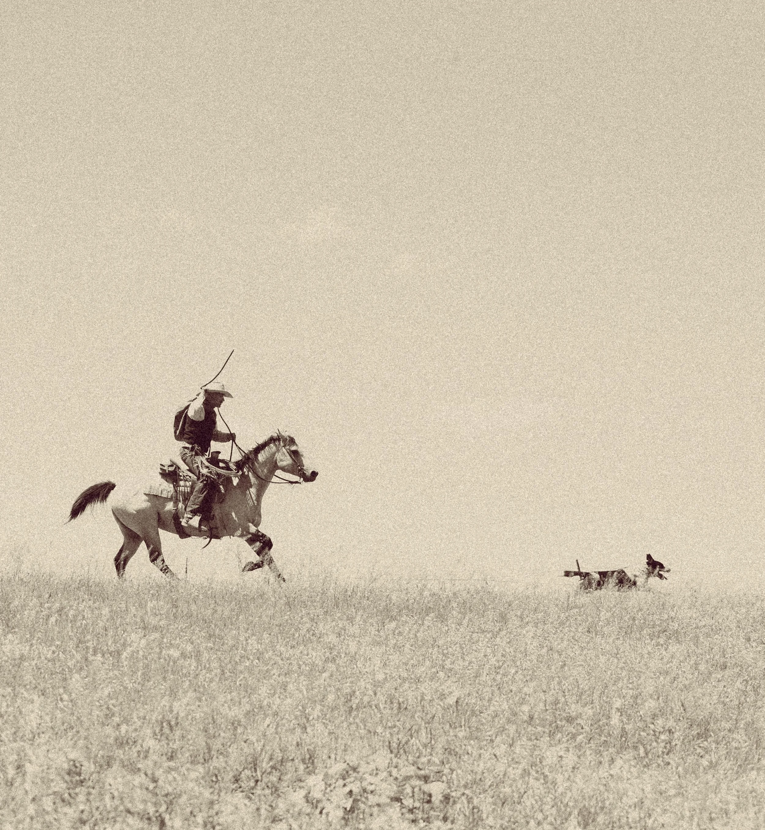 Last Cowboy