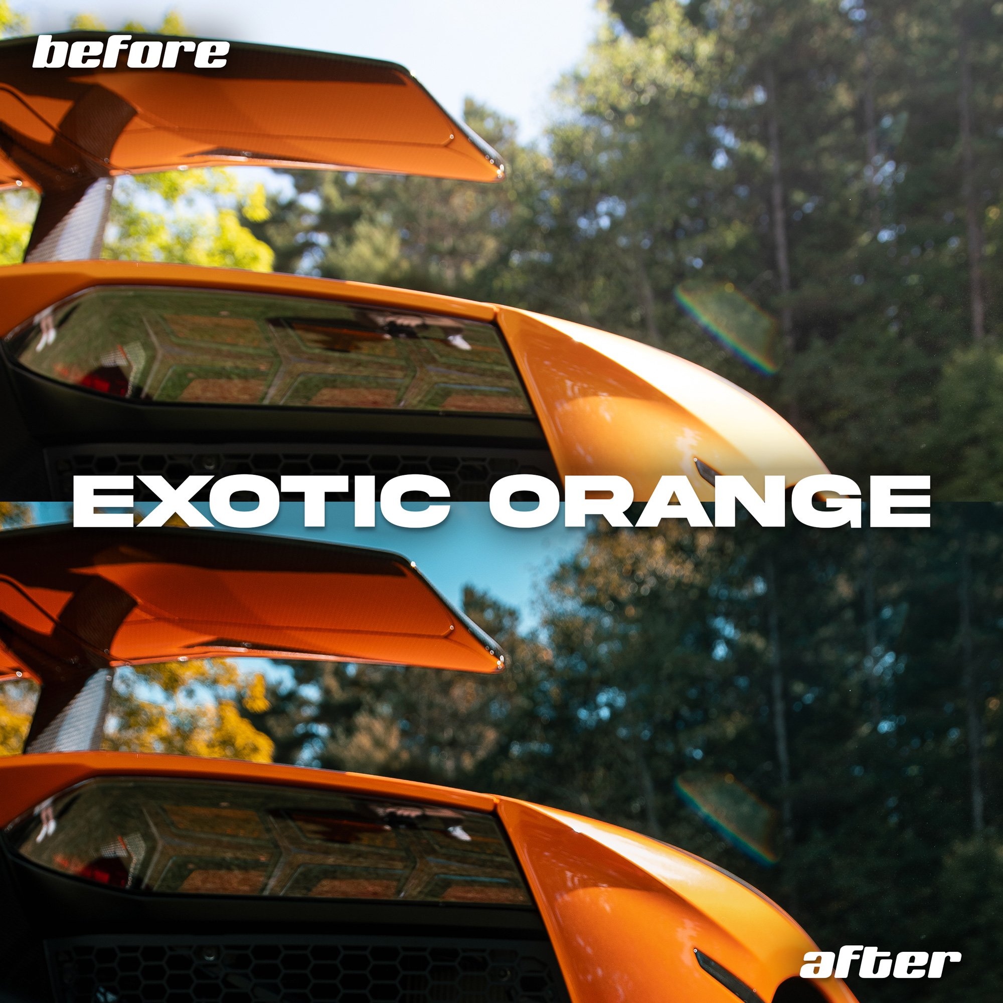 Exotic-Orange.jpg