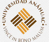 Profesor MBA · Universidad Anáhuac