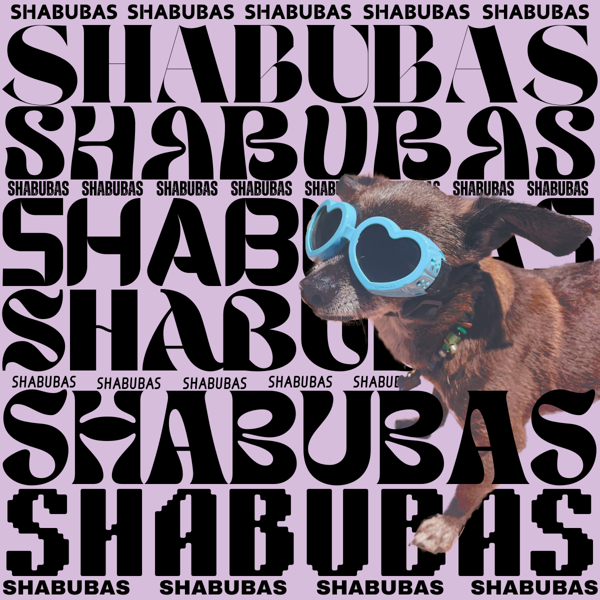 Shabubas.png