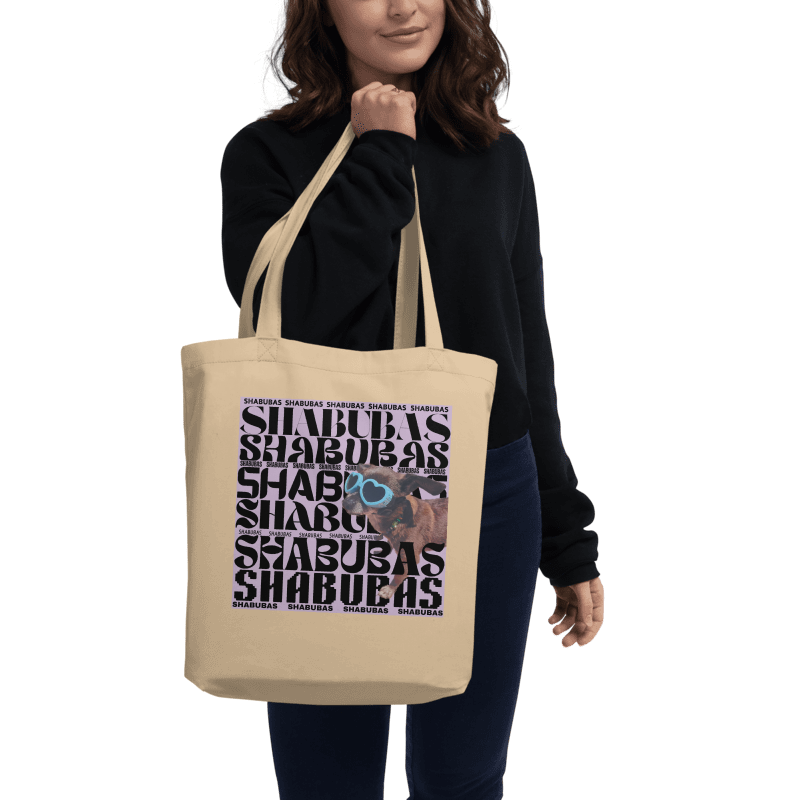 Shabubs mock2.png