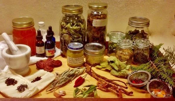 Introduction to Herbal Medicine