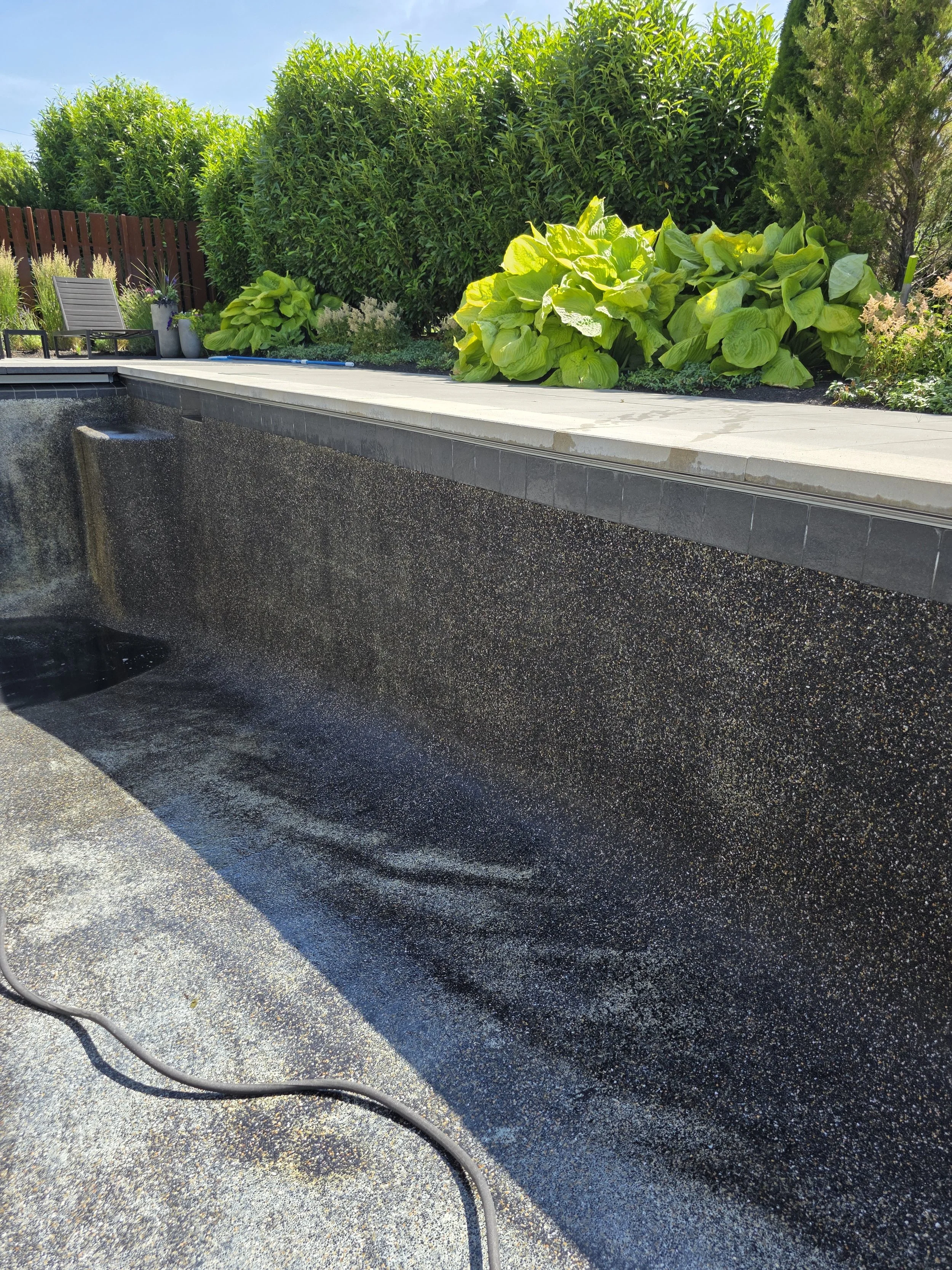 After several hours and lots of persistence and patience we were able to bring life back to this beautiful inground pool.