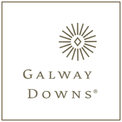 partner-galway-downs.png