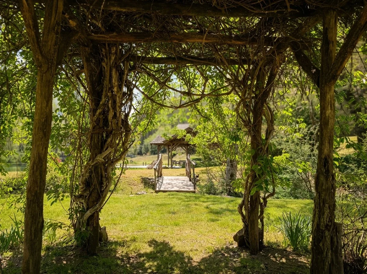 View through a rustic, vine-covered wooden arch to a small bridge leading to a covered gazebo on a grassy lawn in a scenic outdoor park.