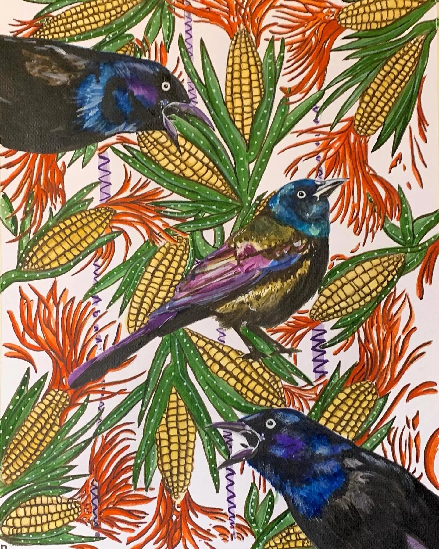 Grackles In A Corn Field, watercolor.
This painting was created for:
@njconservation 
Artists from all over the state have painted birds that live here to be made into cards to be sold as a fundraiser; showing the connection between conservation and 