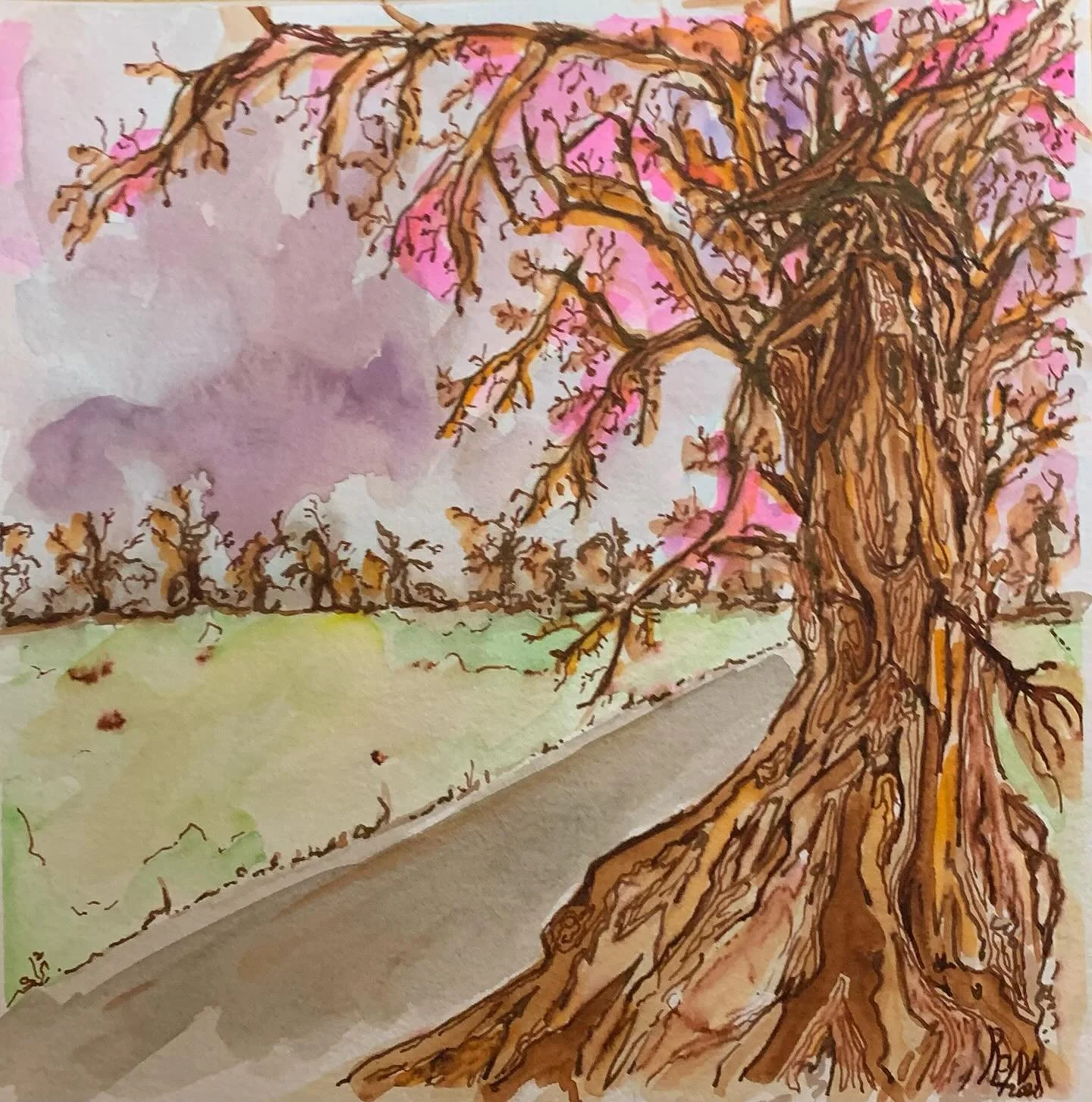 Witch Tree, watercolor, ink, quick sketch.
You will find these on country rides, not often used roadways to abandoned farms ; if you look close enough ,you can spot the witch hidden in the old trunk and branches that are overgrown with vines.
Autumn 
