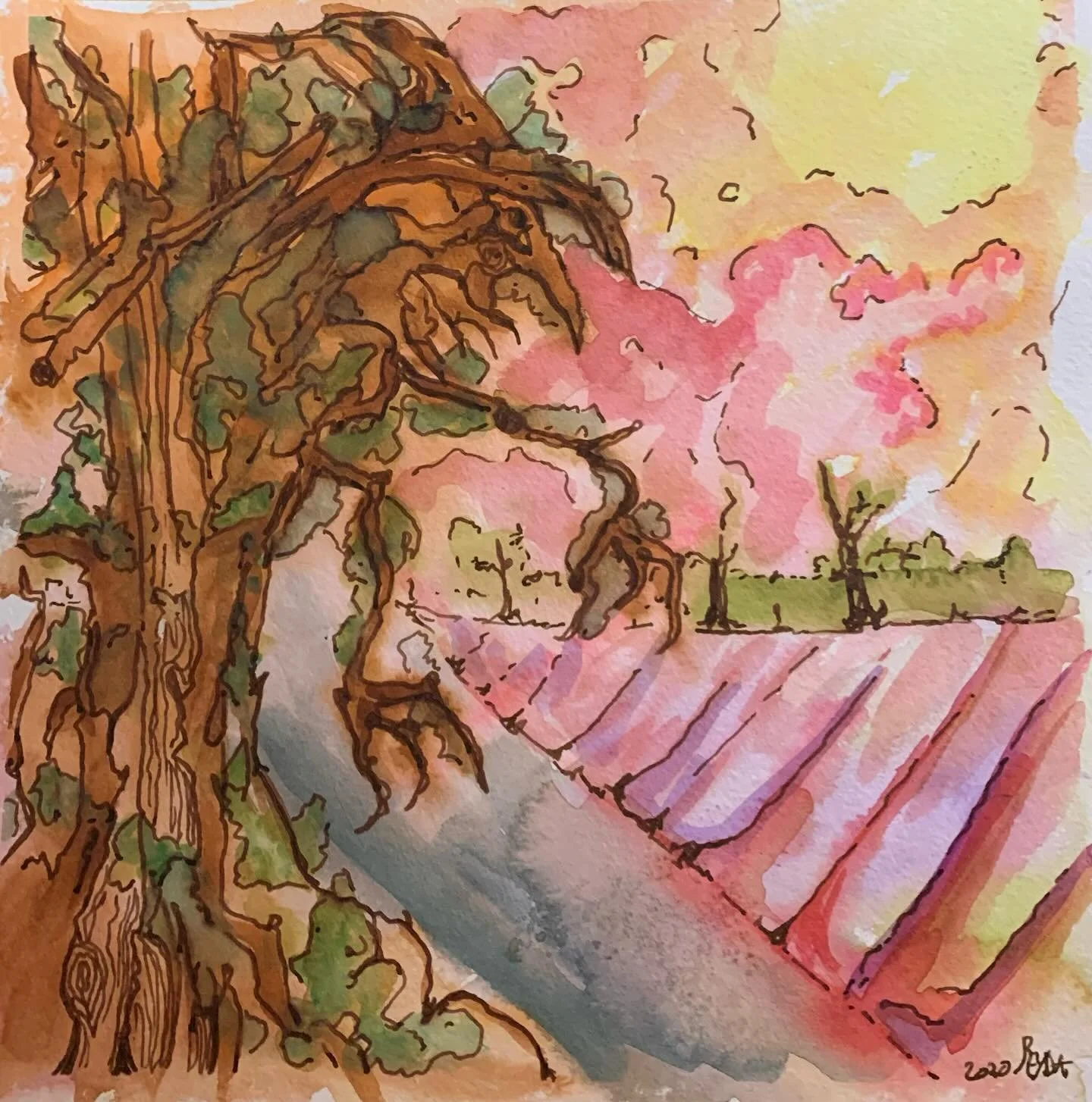 As the leaves fall, they become more defined: Witch Trees, watercolor, ink, quick sketch.
#witchtree #witches #radareyda #watercolor #painter #southjerseyartist #ink #quicksketch #hiding #traditionalart #autumn