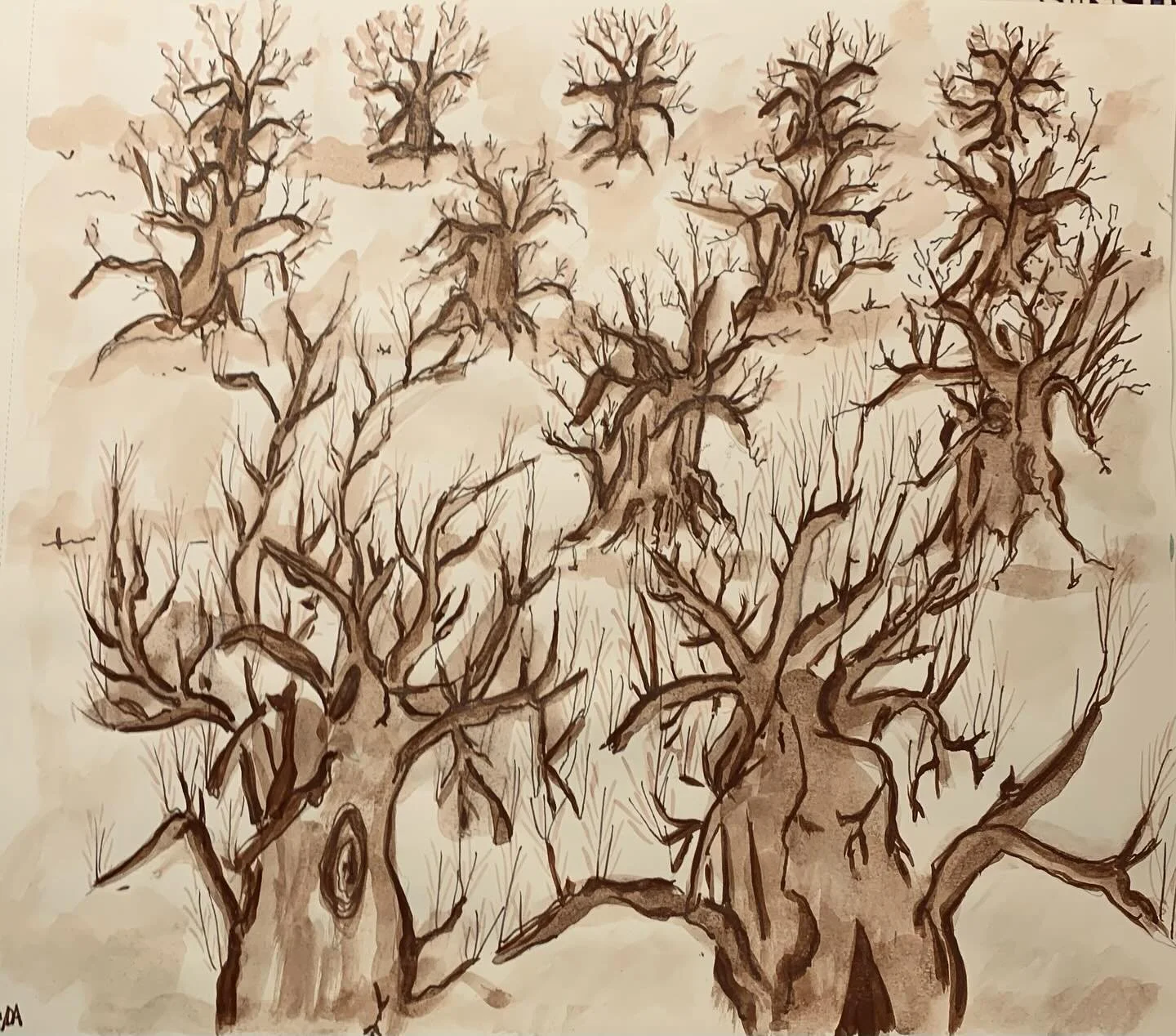 The Old Peach Orchard,
Watercolor, ink, quick sketch.
#watercolor #ink #blackwalnutink #traditionalart #quicksketch #oldorchard #peachtrees #peaches #winter #snow #sleeping #signsofspring