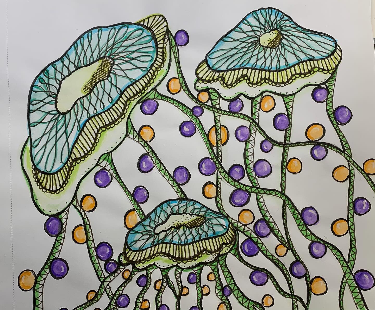 Jellyfish  Watercolor, ink, quicksketch.
#jellyfish #traditionalart #watercolor #ink #quicksketch #sealife #ocean