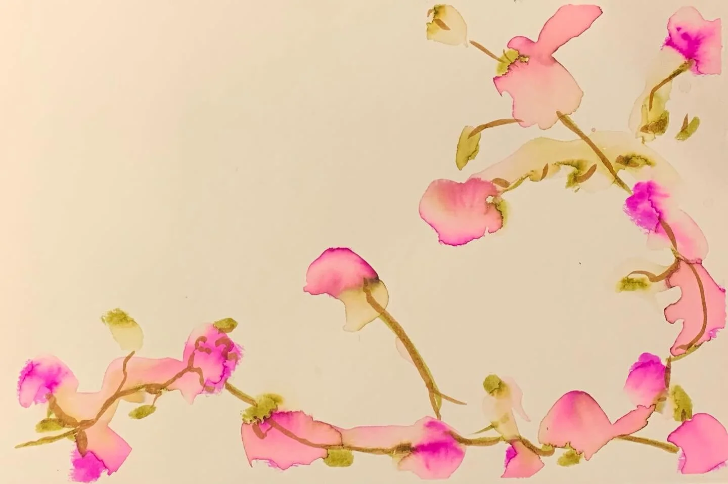 Cherry Blossoms.  #quicksketch #watercolor #cherryblossoms #Spring #treesinbloom #Japanese #simplicity #traditionalart