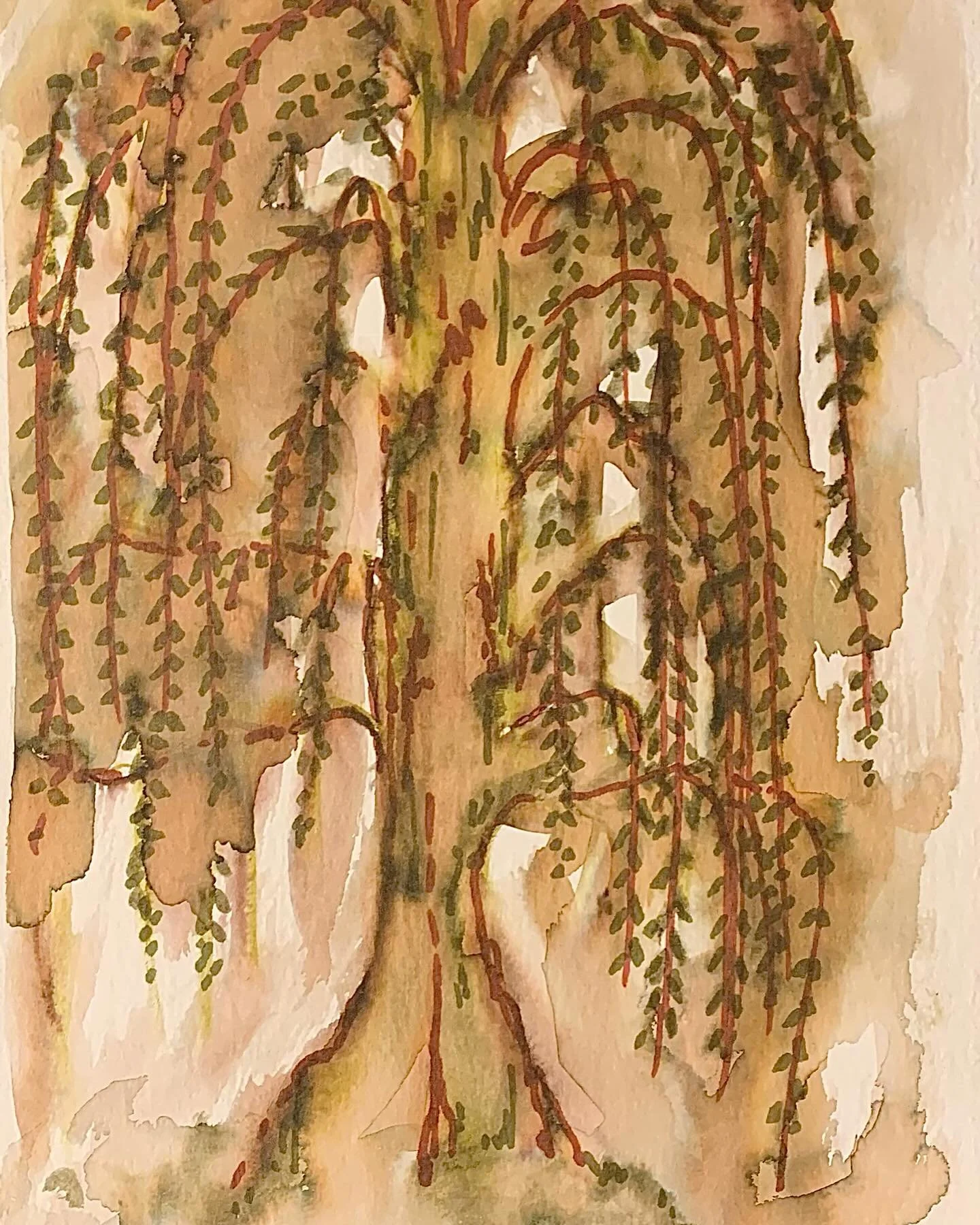 Willow Budding Out, quick sketch, watercolor.
#traditionalart #watercolor #willowtree #buddingput #Spring #trees