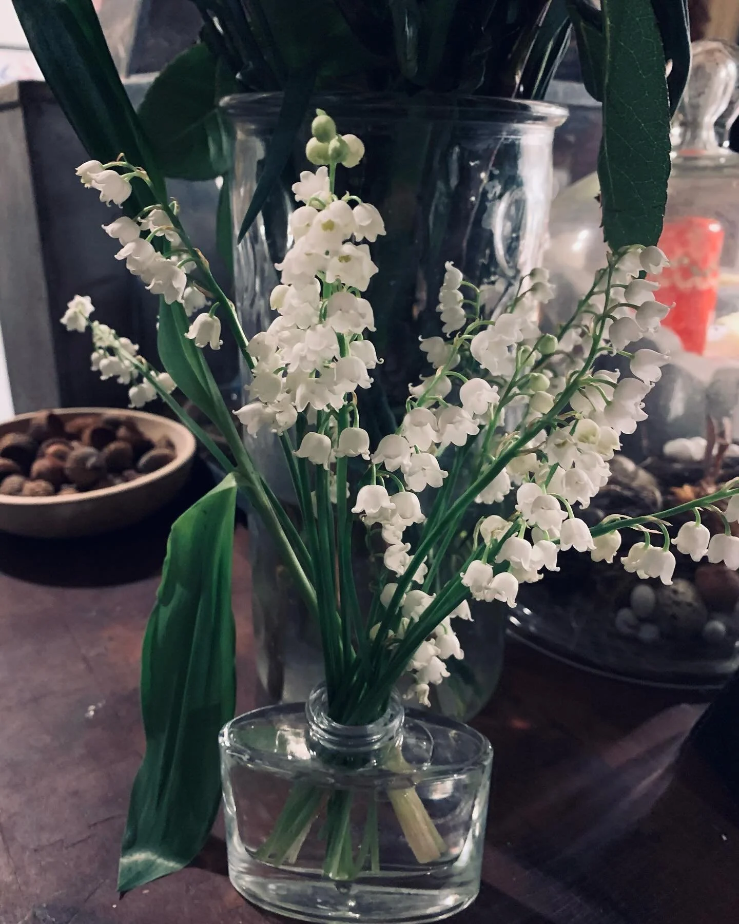 Happy Earth Day.  Spent the day planting; pulled some Lilly of the valley blooms to place in old ink jar- recycle.
#Earthday #recycle #earth #gogreen
