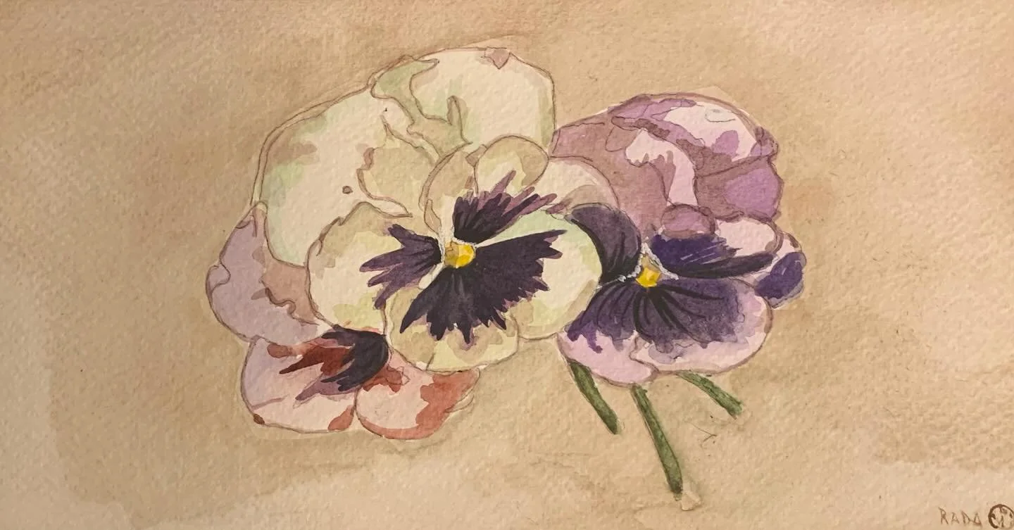 Pansies, watercolor.
#pansies #pansy #flowers #bloomscrolling #watercolor #traditionalart #quicksketch