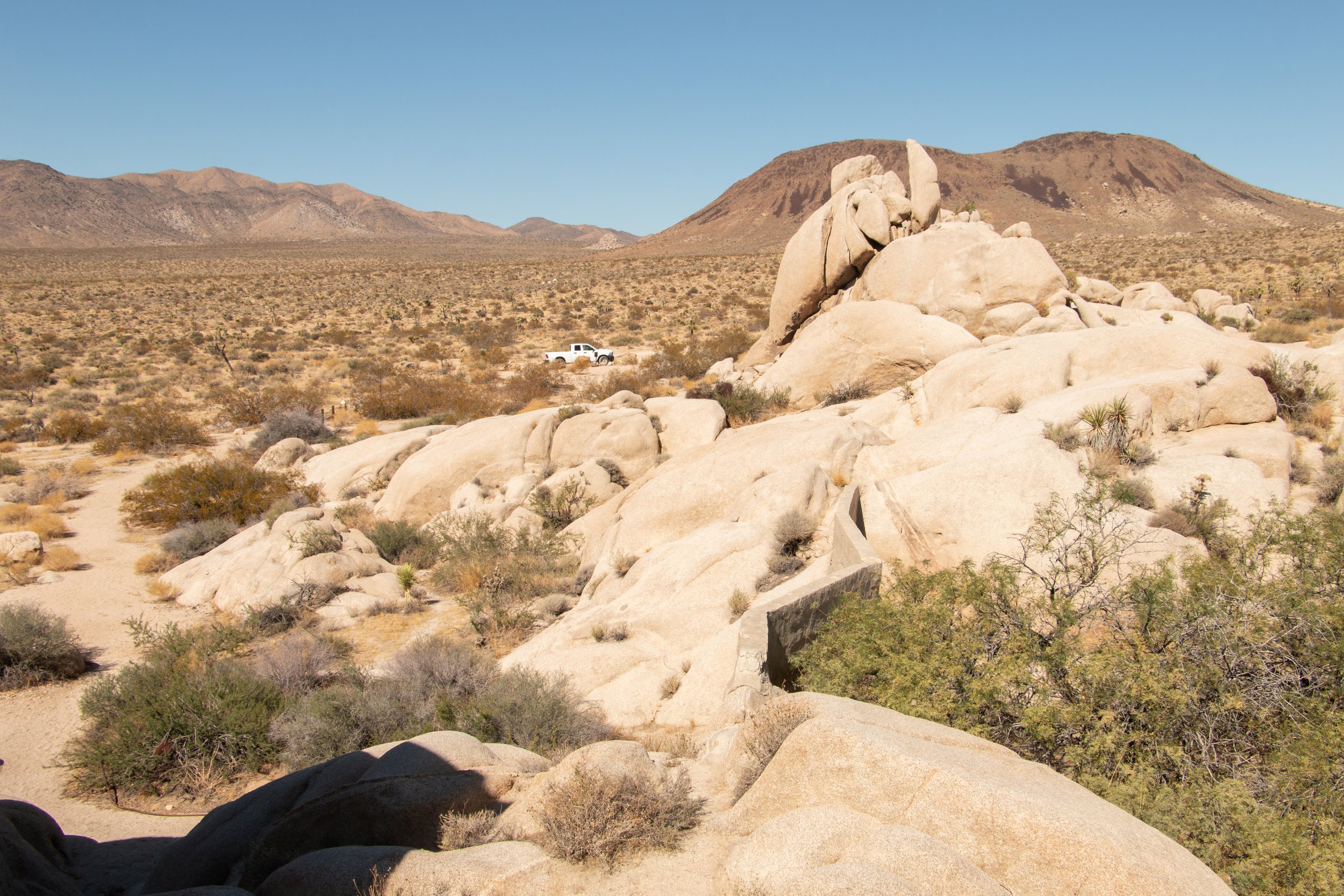 Joshua Tree Visitor Guide | In Joshua Tree