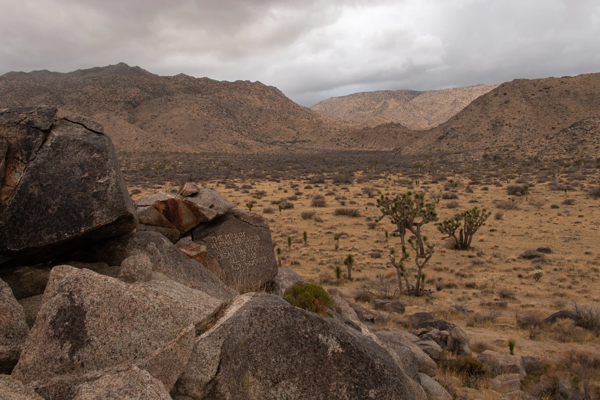 Samuelson’s Rocks: Desert Philosophy Carved in Stone