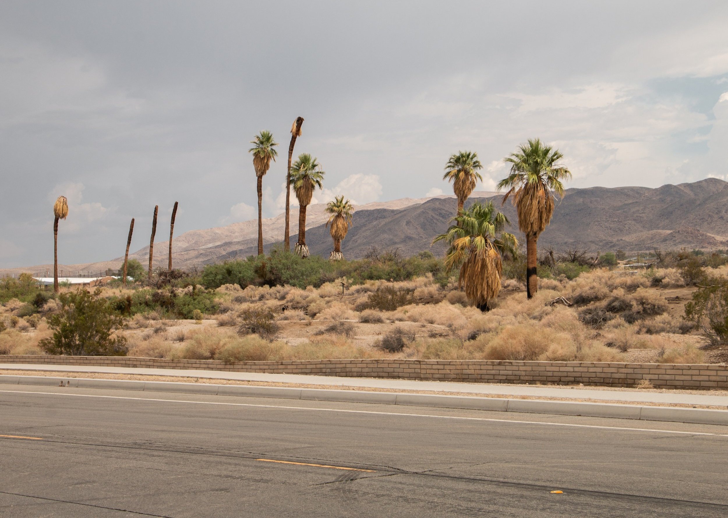 48-Hour in Twentynine Palms
