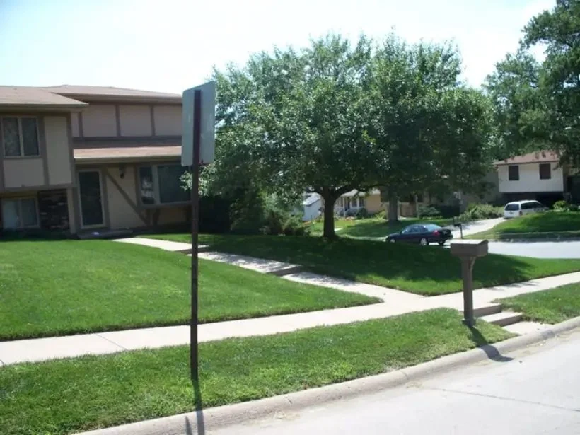 LAWN 1.jpg