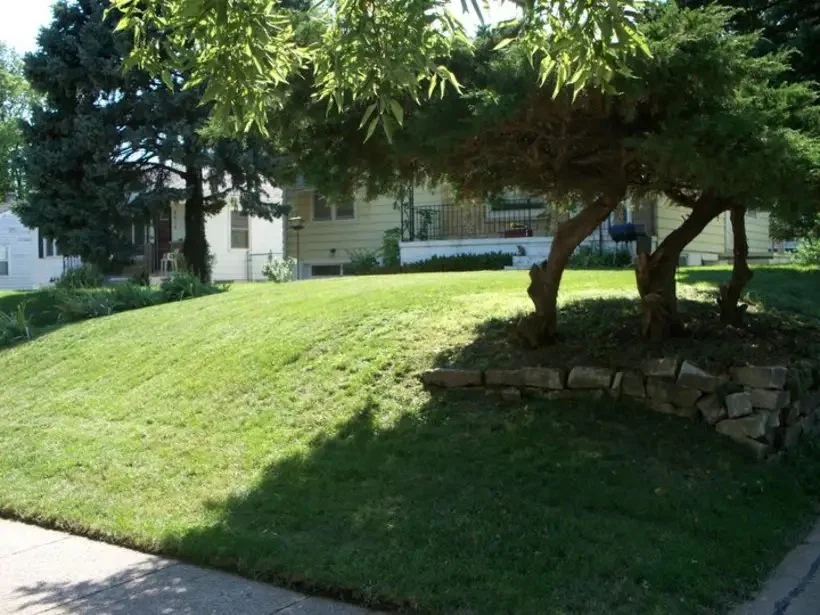 LAWN 4.jpg