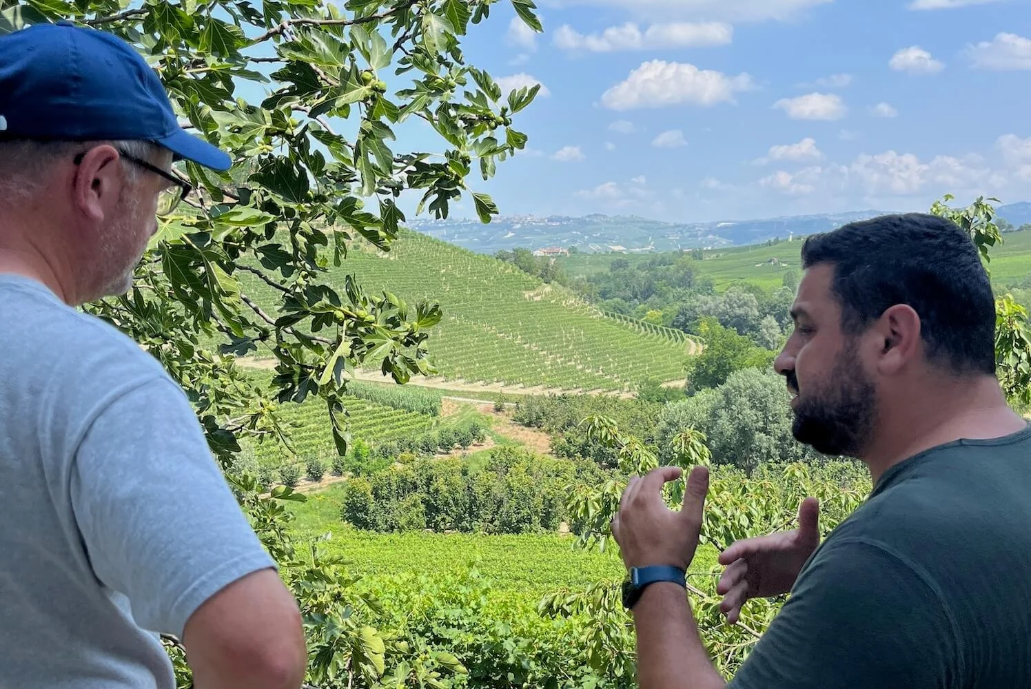 Crissante Alessandra — CorksCru Wine Merchants