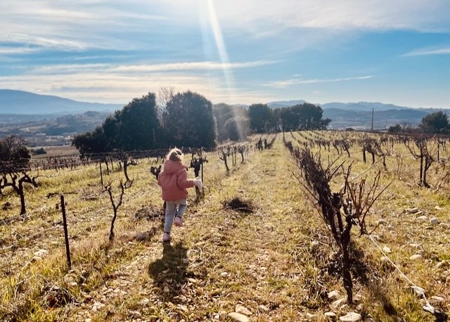 Domaine du Tave