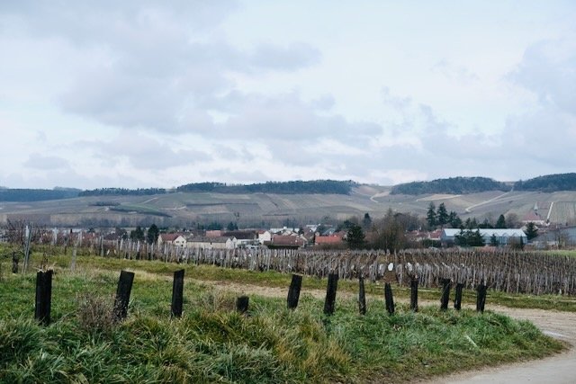 Domaine Begue-Mathiot
