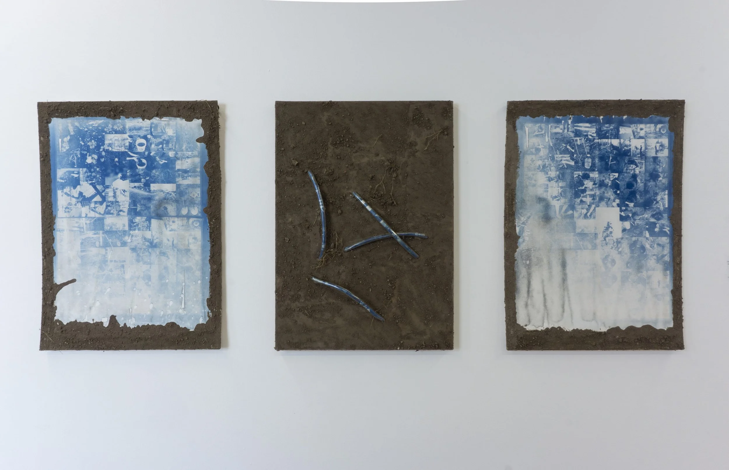 Rooted In Inquiry, Danielle Petti