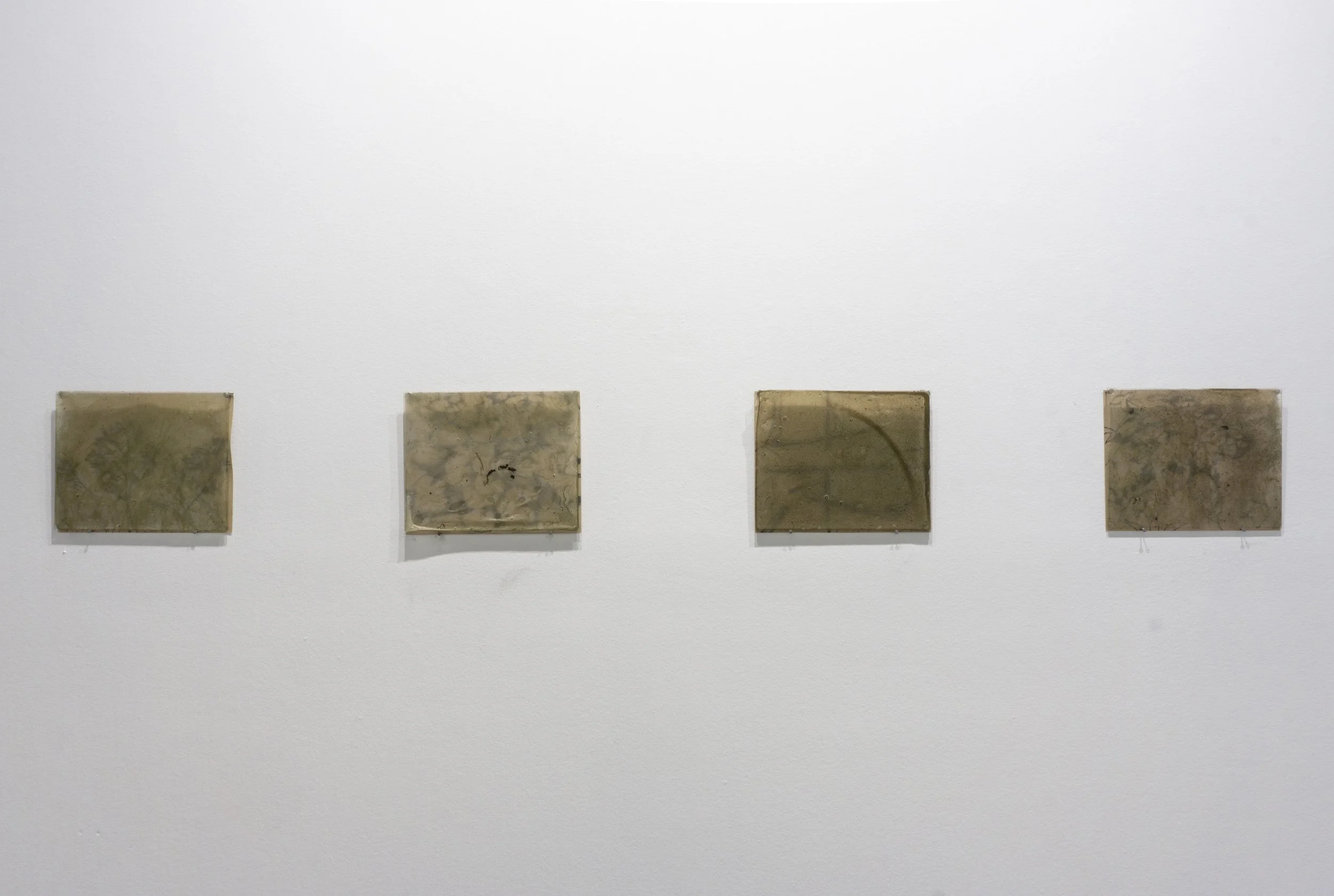 Runoff Resonance, Danielle Petti