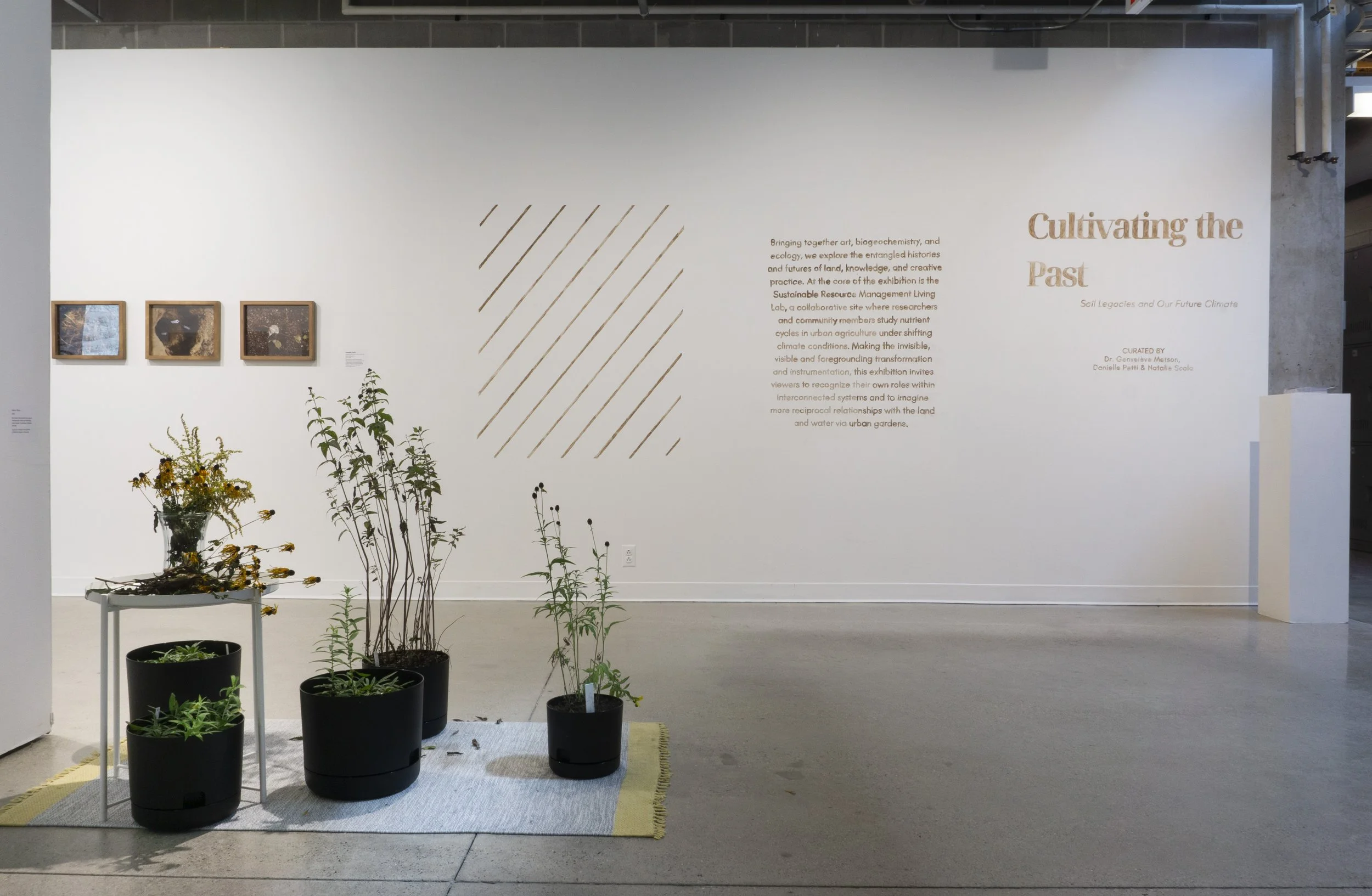 Cultivating the Past Gallery View with Native Plants
