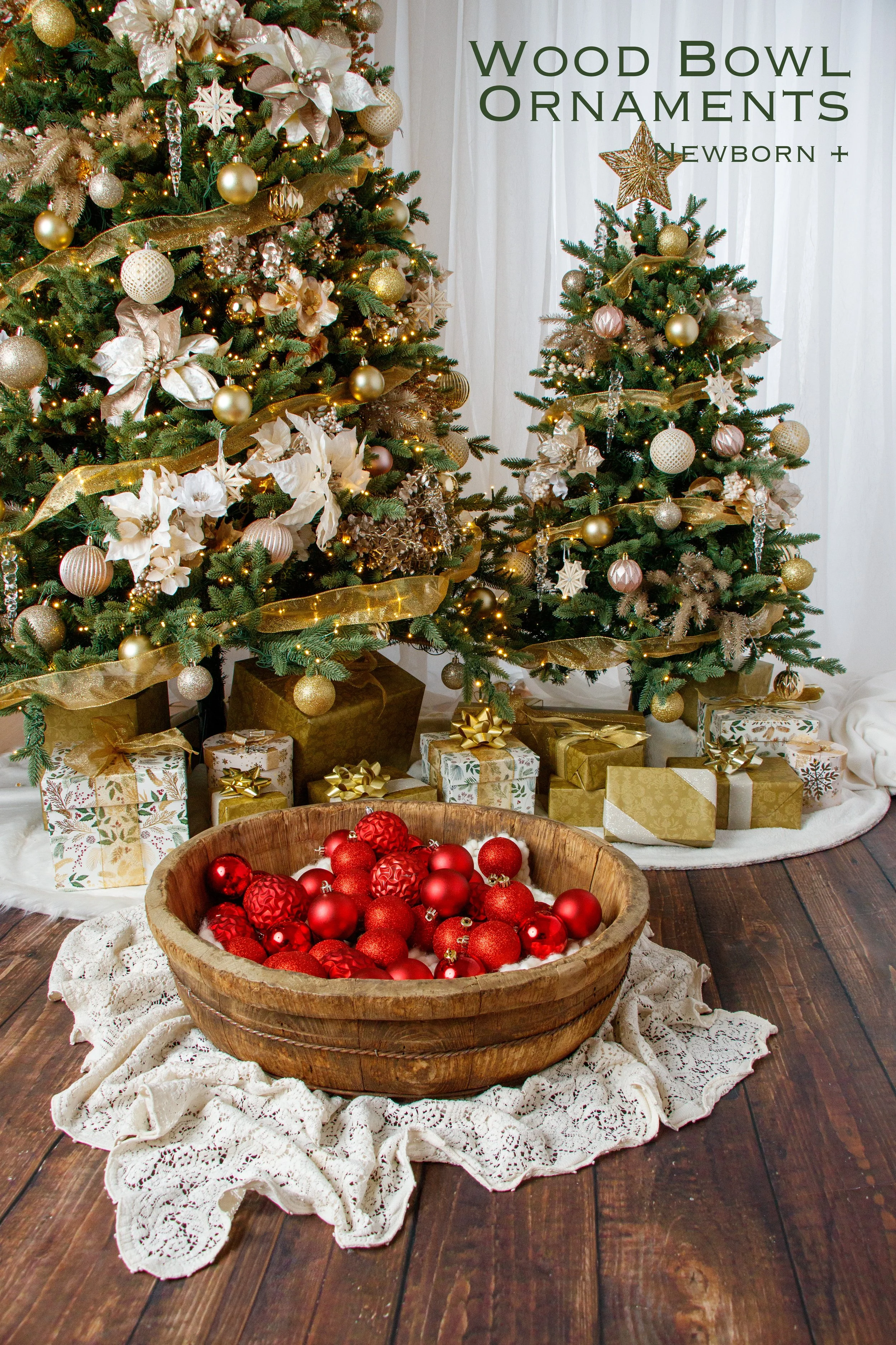 20251026 Holiday Session Props-05.jpg