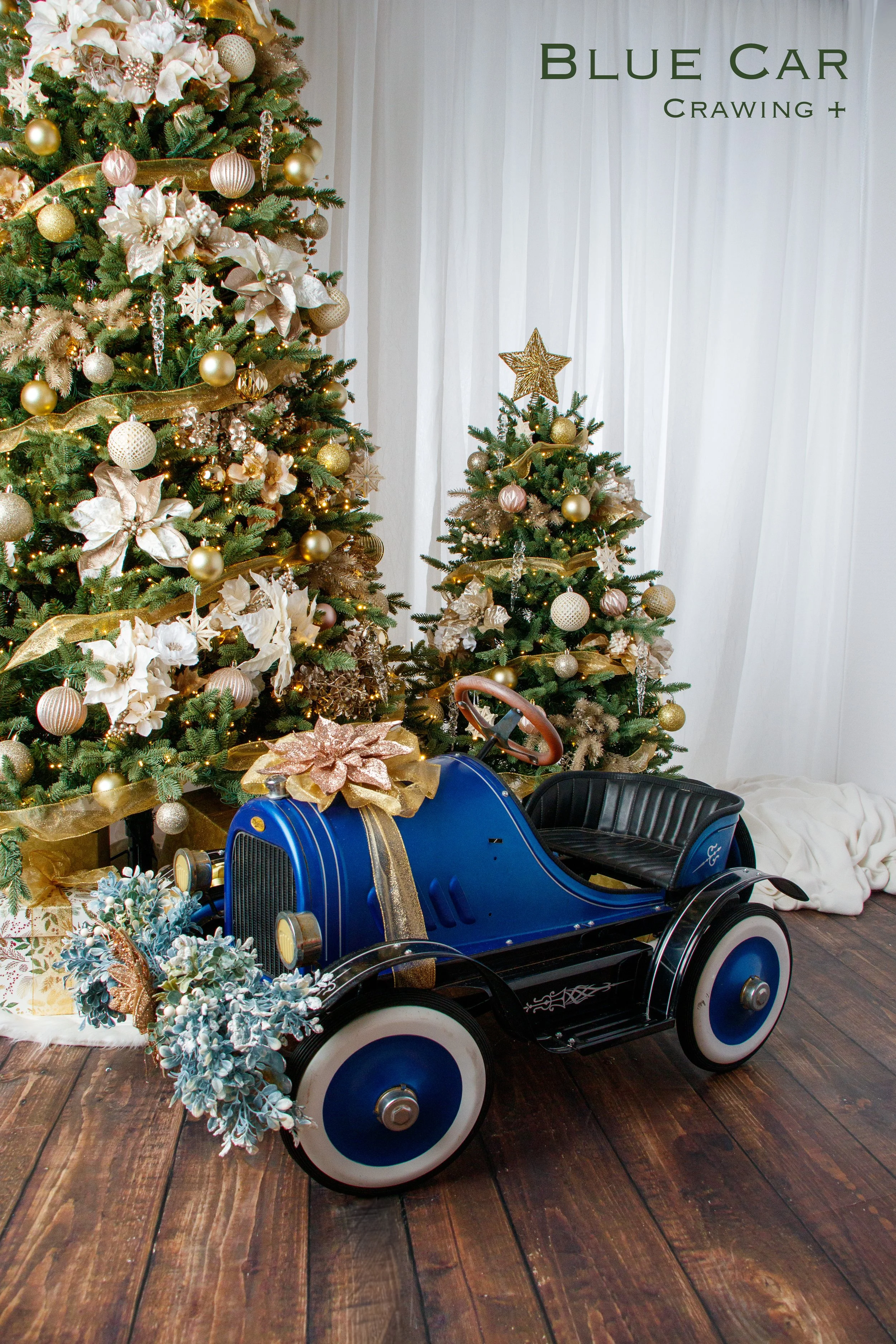 20251026 Holiday Session Props-03.jpg