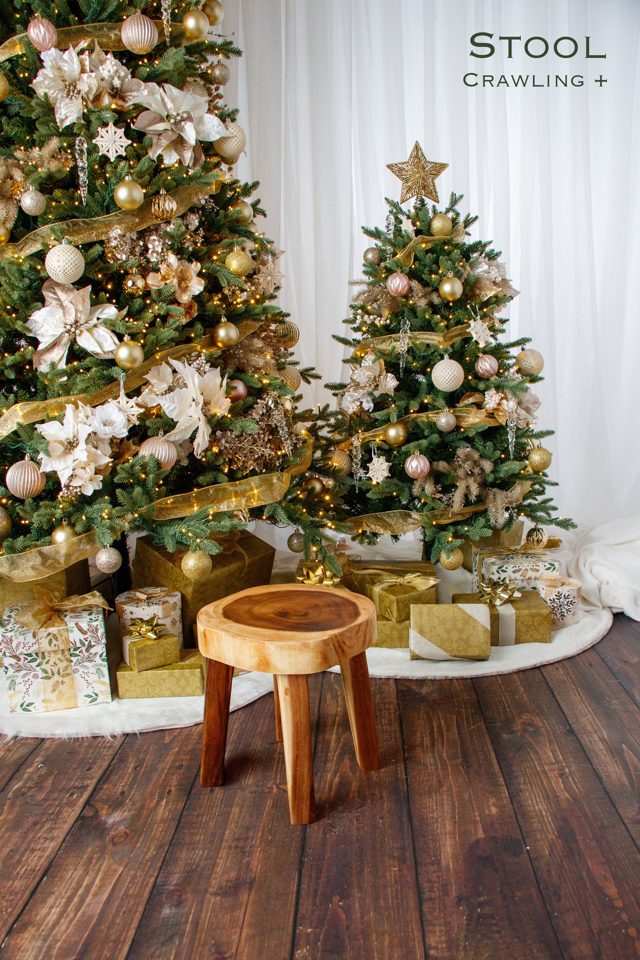 20251026 Holiday Session Props-08.jpg